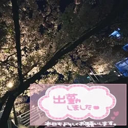 お酒片手に（つきの）