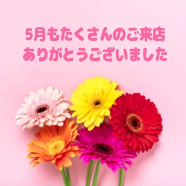 こんにちは😺🌼