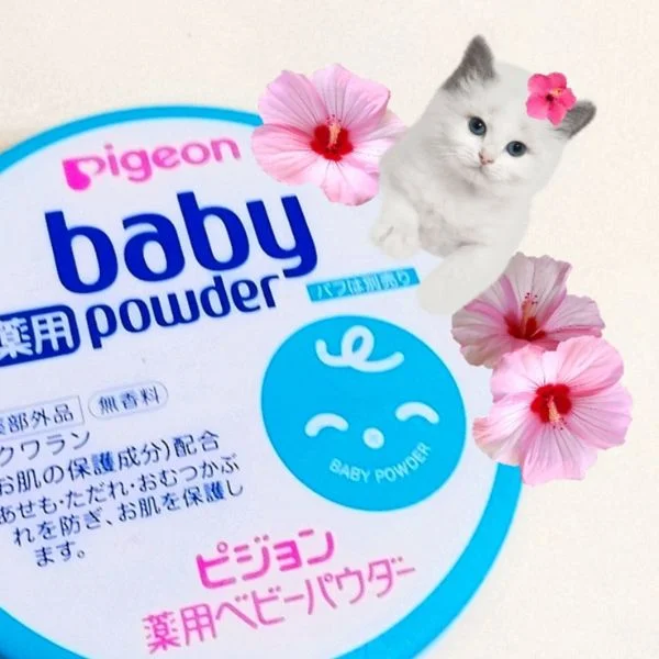 こんにちは👒