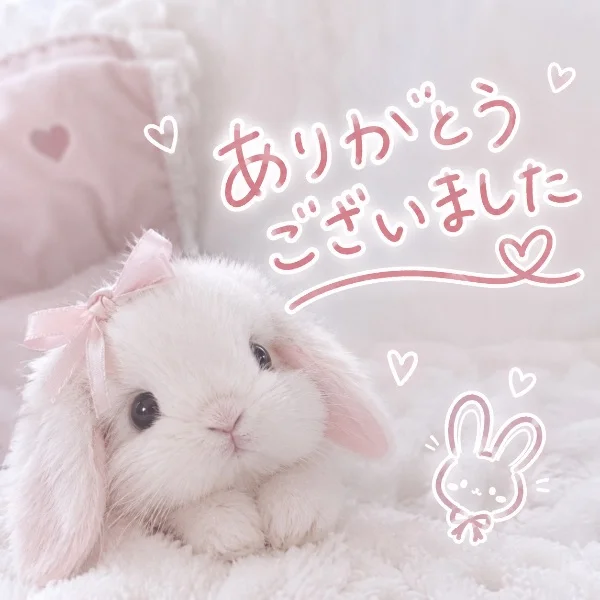 9/18‎🤍ありがとうございました‎🤍