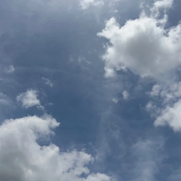 17：00〜上島店出勤します🩵