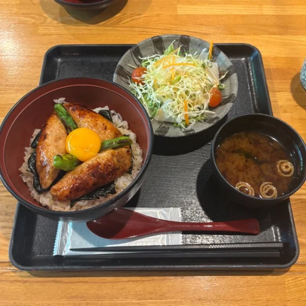 20:00~出勤してます🦖⸒⸒