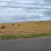 ドライブのサムネイル