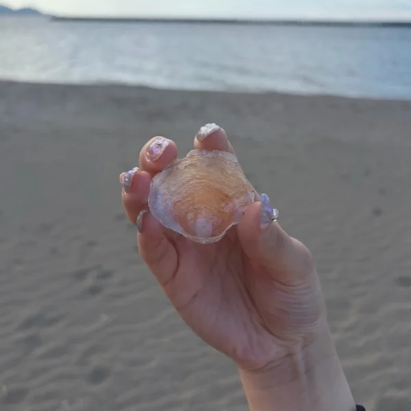 海行ってきたよー