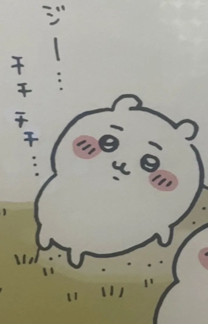 昨日と今日ありがとうございました💭