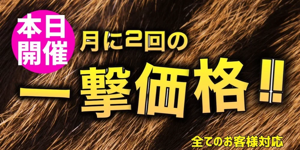 MYIRO-マイロのカバー画像