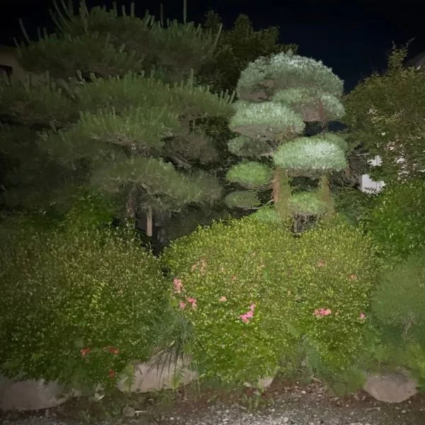 今日は～
