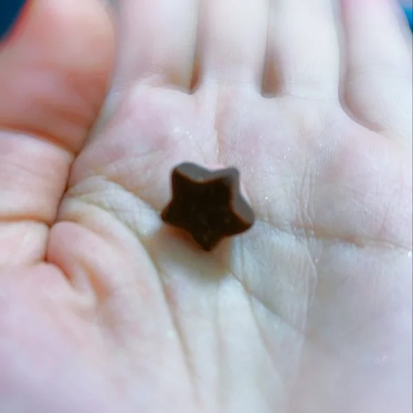おひさしぶりの星みっけ！