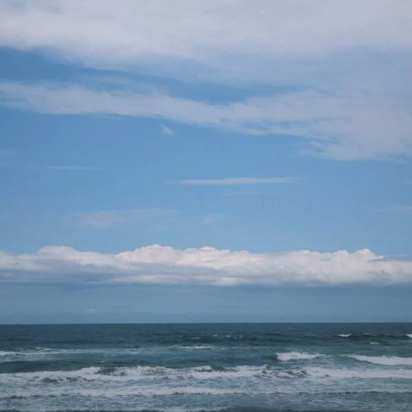 今日は…‎꒰՞ ܸ. .ܸ՞꒱