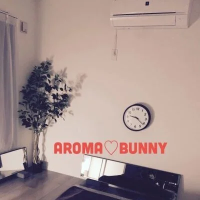 Aroma♡Bunny《アロマ♡バニー》のメリットイメージ(1)