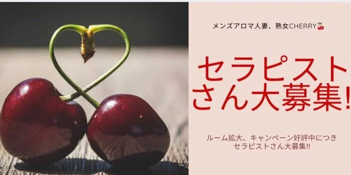 人妻・熟女メンズアロマMothersマザーズの求人募集イメージ2