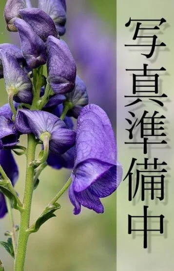 プルミエ