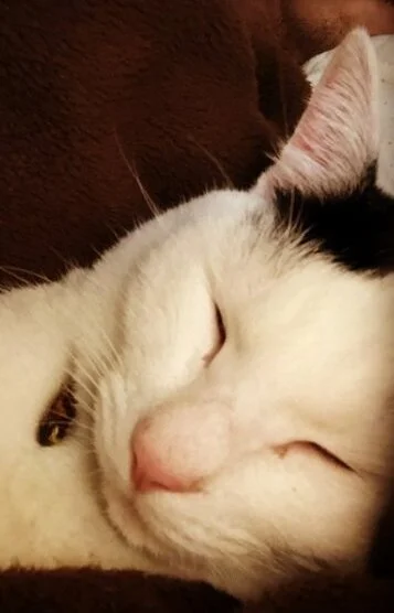 アキちゃん