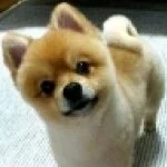 採用担当の採用担当さん