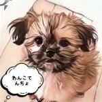 採用担当のわんこ店長さん