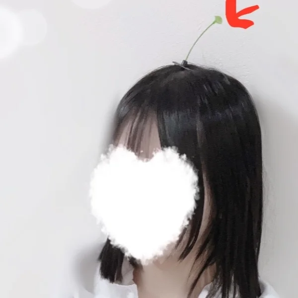 本当は