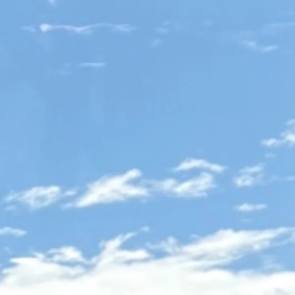 9/25(金)お礼💌