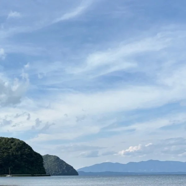 8/1(土)お礼💌