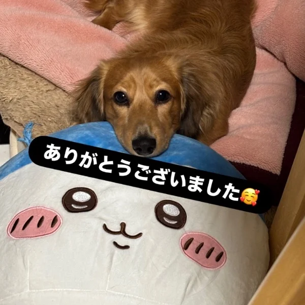 7/26(日)💌お礼日記💌