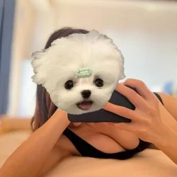 お得なクーポン❗️