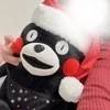 ななみ
