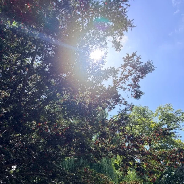 夏の終わり