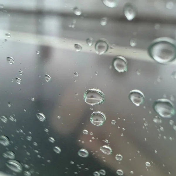 雨の日☔️