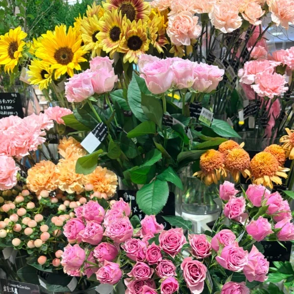本日出勤🌷