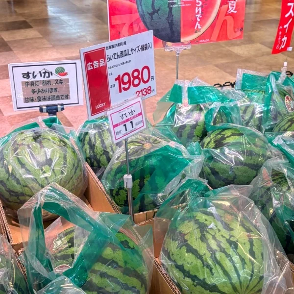 すいか🍉🍉🍉🍉