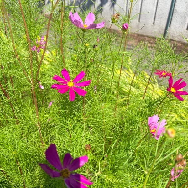 S様お礼🌹