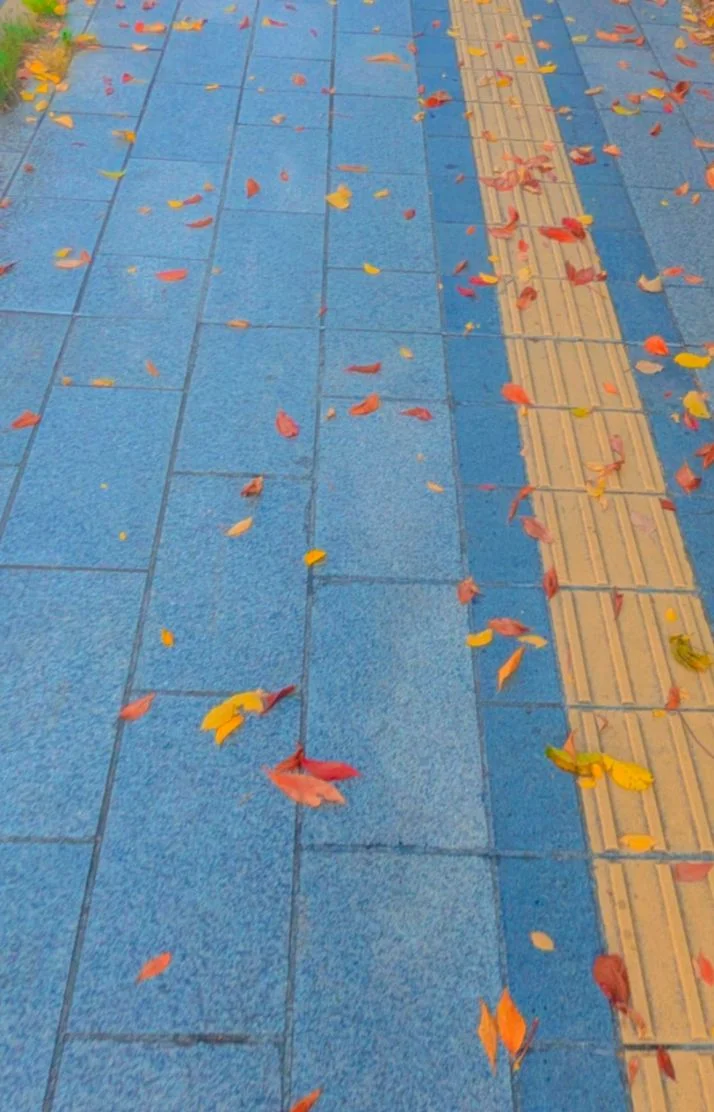 本日､13日と15日20時から出勤です🌷