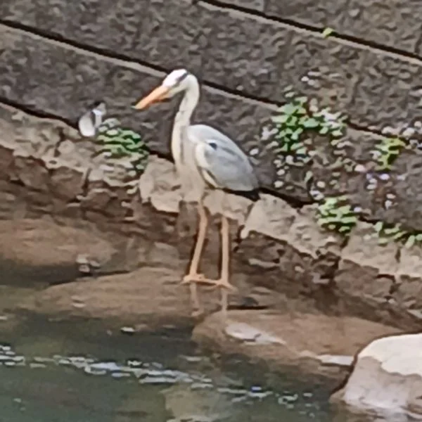 明日はお休み🌃