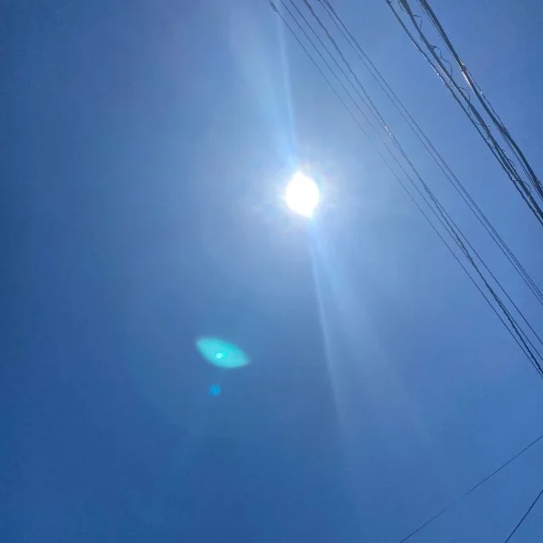 ミーンミーン