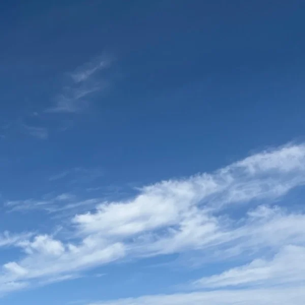 いいお天気☀️
