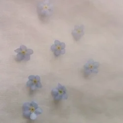 2ヶ月間ありがとうございました♡あいみ...
