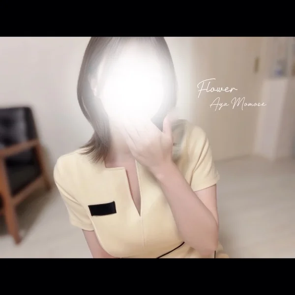 スケジュール