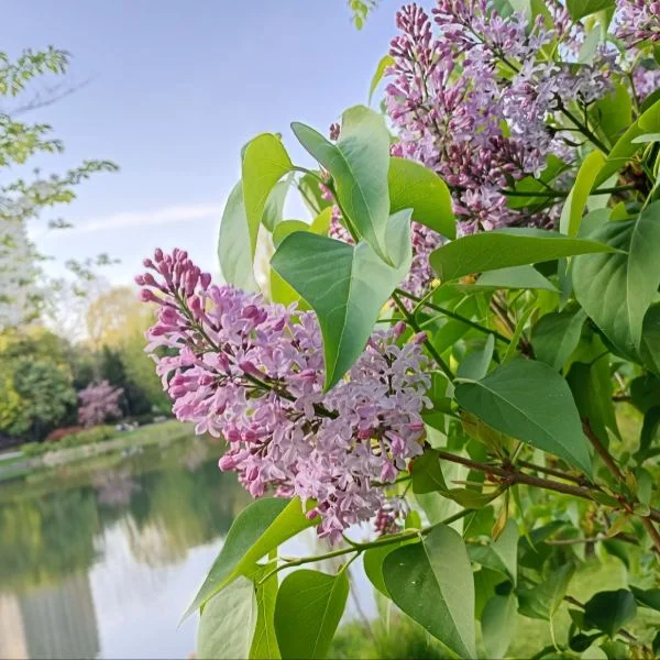 5/16(土)おはようございます☀