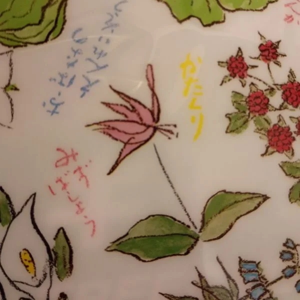大好きなカタクリ