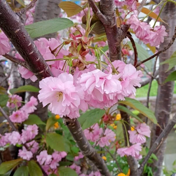 5/11(月)おはようございます☀