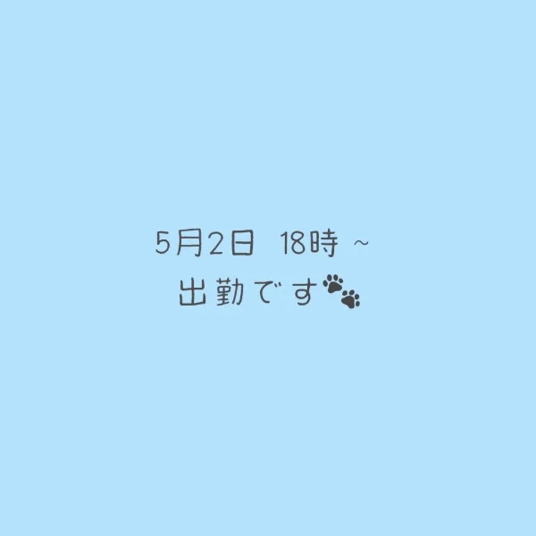 本日も✩⡱