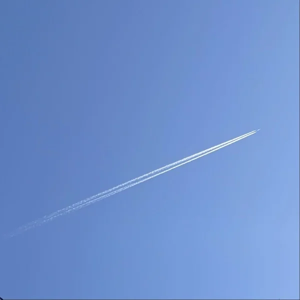 おいしいもの.ᐟ