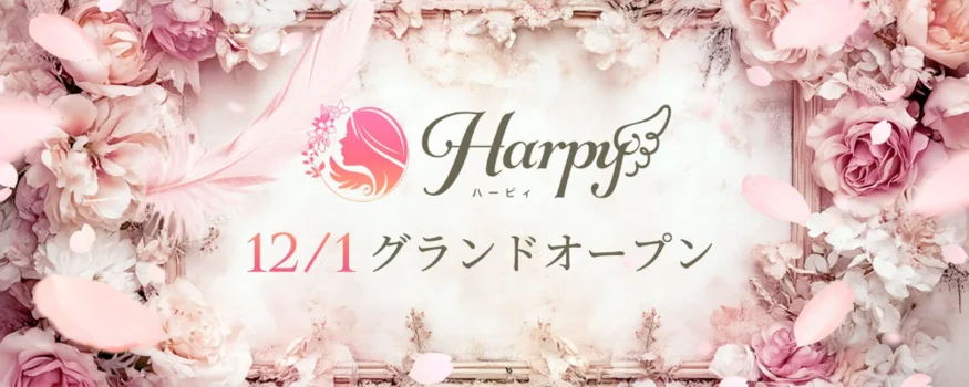 Harpy-(ハーピィ)