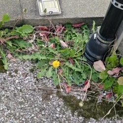 はるか LAGOON SPA(ラグーン...