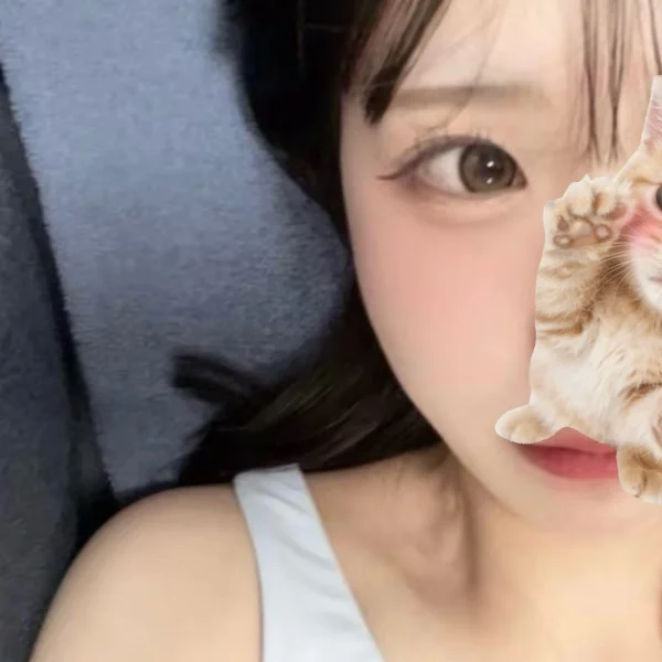 しゅっきん!