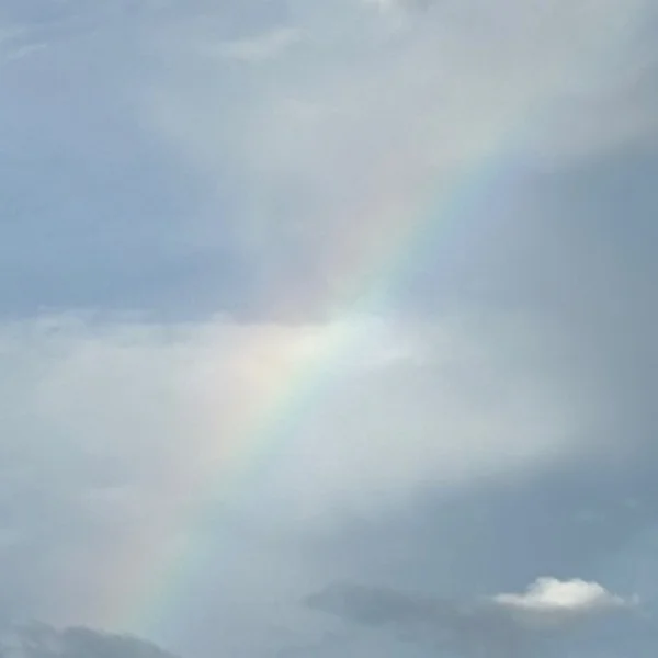 おはようございます☀️
