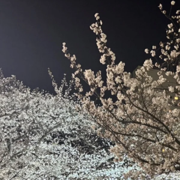 ありがとう日記♡