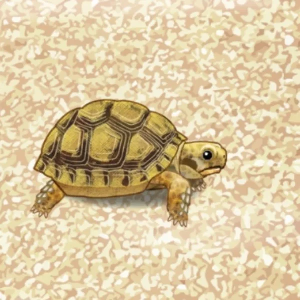 ありがとう日記♡
