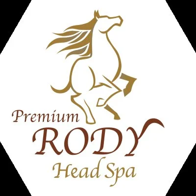  Premium RODY-Head Spa