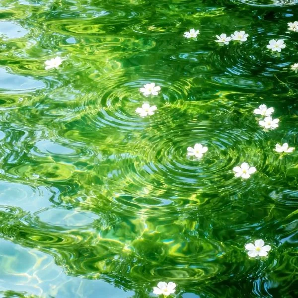 5/9のお礼💚