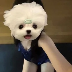 れい